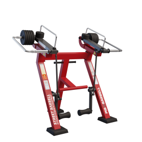 Сгибание ног в положении стоя с изменяемой нагрузкой / Legs curl in Standing position