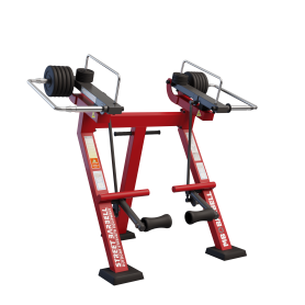 Разгибание ног в положении стоя с изменяемой нагрузкой / Legs extension in Standing position