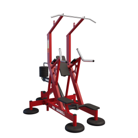 Гравитрон / Assisted Pull-Ups+Triceps Dips