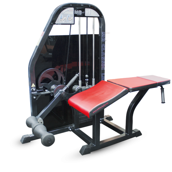 Сгибание ног лежа MB Barbell